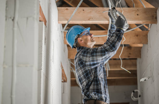 Best Electric Panel Repair  in Wurtland, KY
